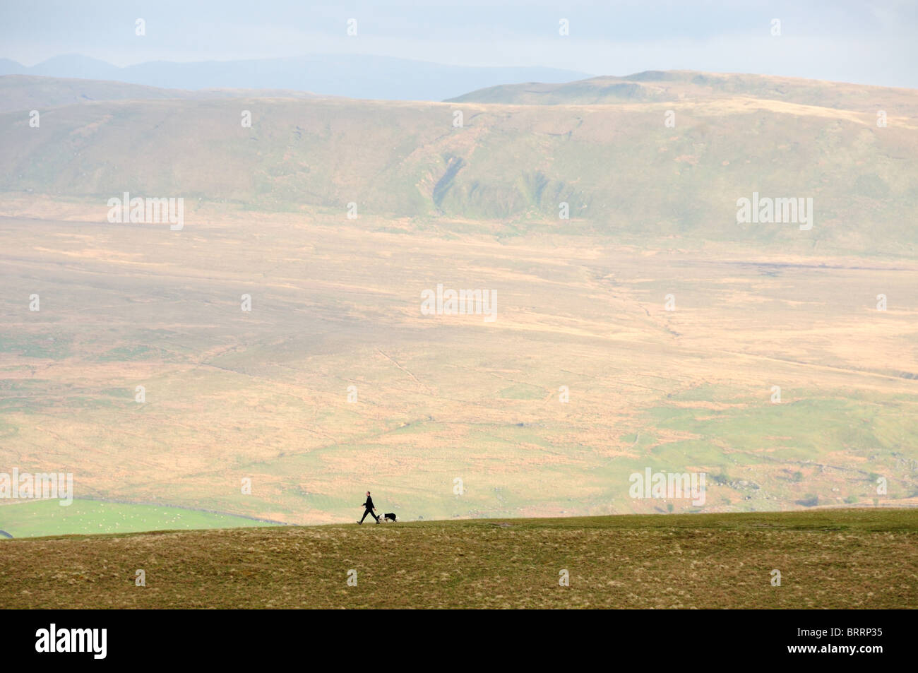 Walker and dog on Scales Fell with Threlkeld Common in the background