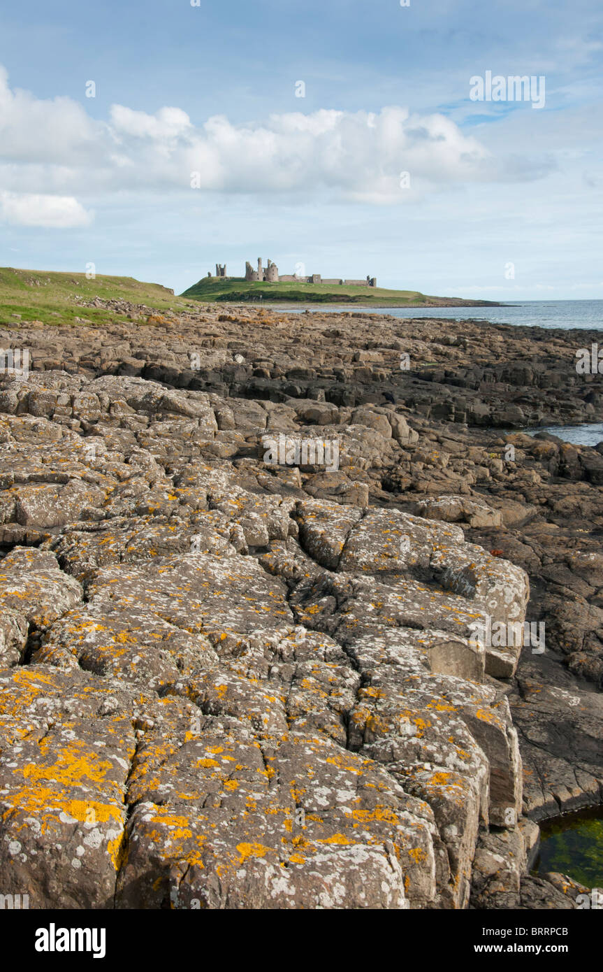 View across the sea to Dunstanburgh castle ruins on the rocky north ...