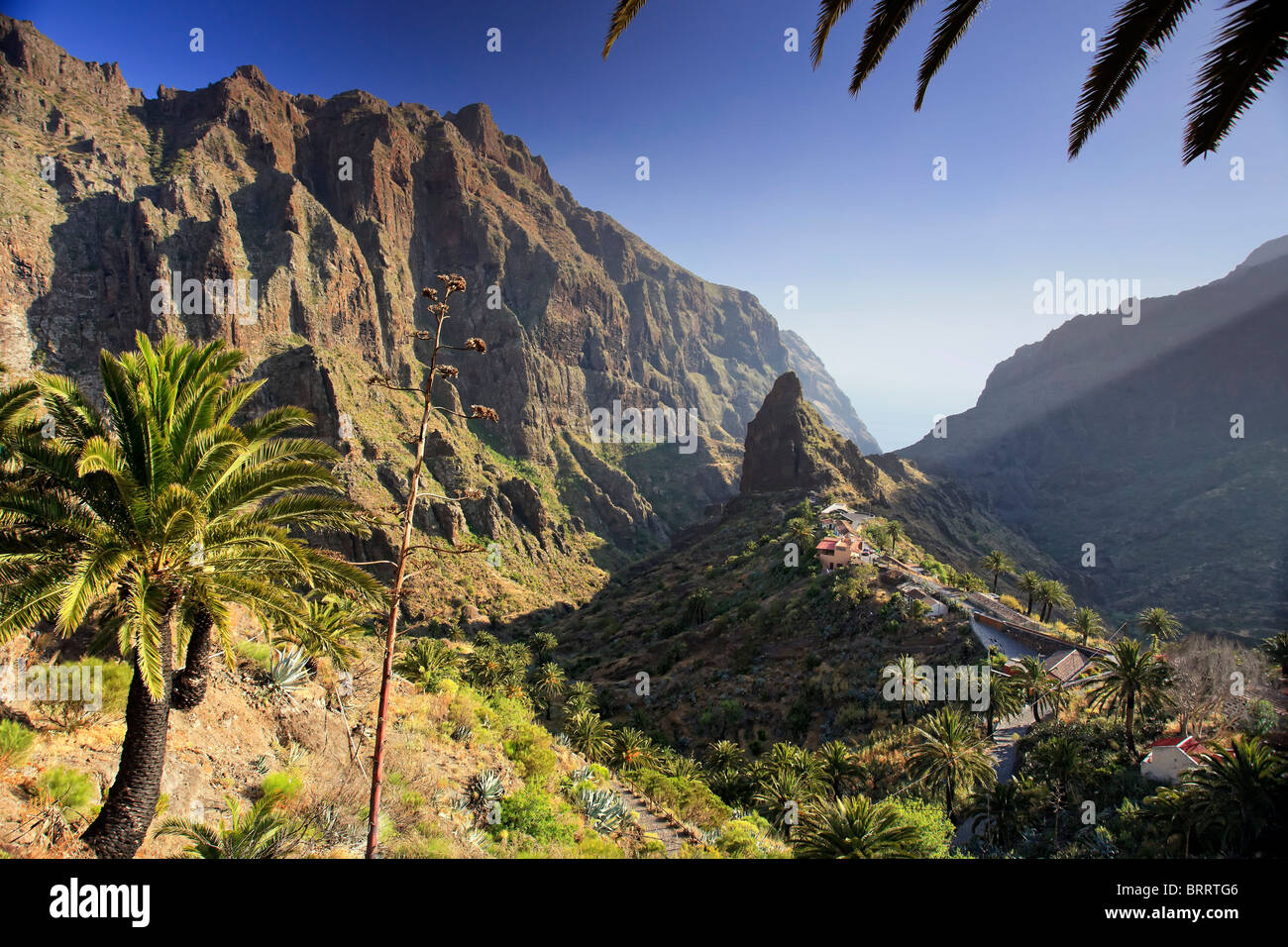 Canary Islands, Tenerife, Masca Mountain Village Stock Photo