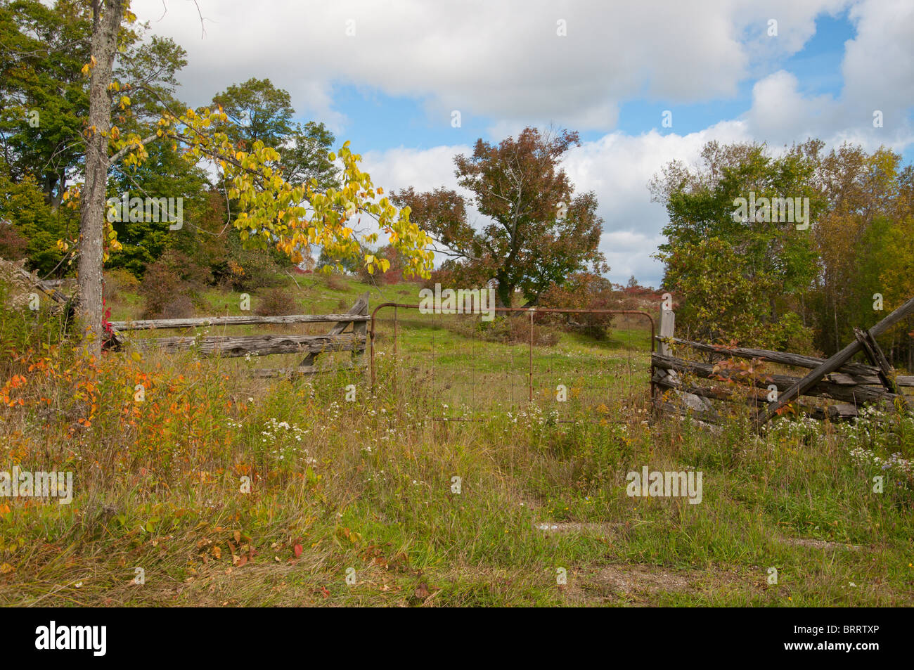 barn farm Manitoulin Island field trees autumn Fall Stock Photo Alamy