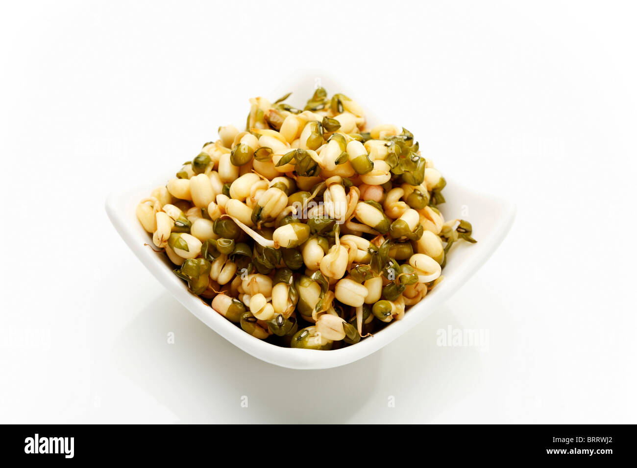 Mung bean sprouts Stock Photo