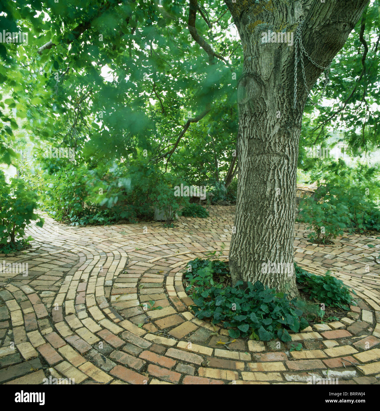 Circular Brick Paving High Resolution Stock Photography and Images Alamy