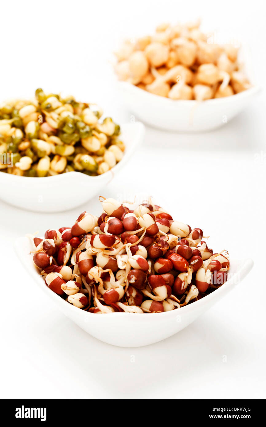Chick pea, mung bean and azuki bean sprouts Stock Photo Alamy