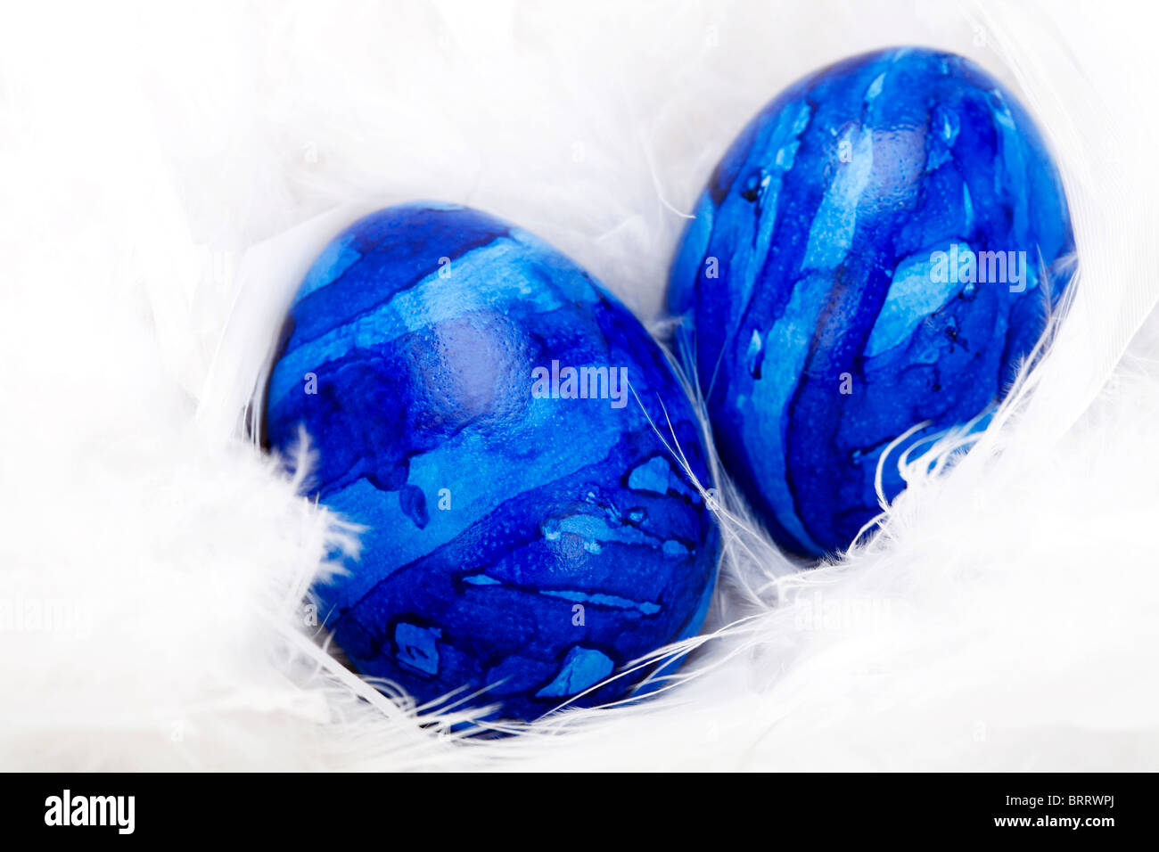 Easter eggs on white feathers Stock Photo
