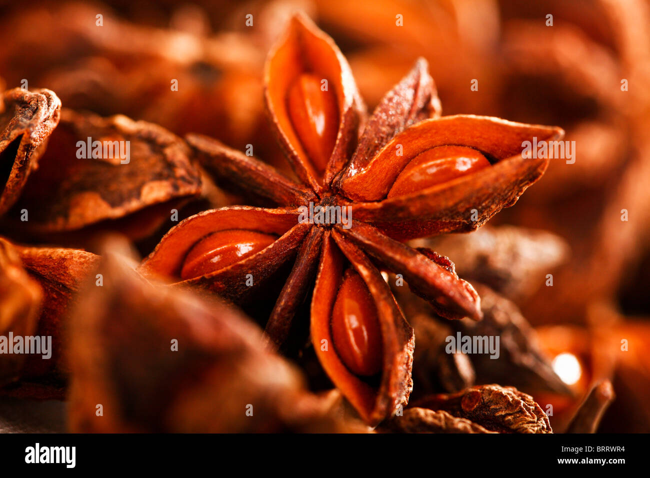 Anise stars Stock Photo