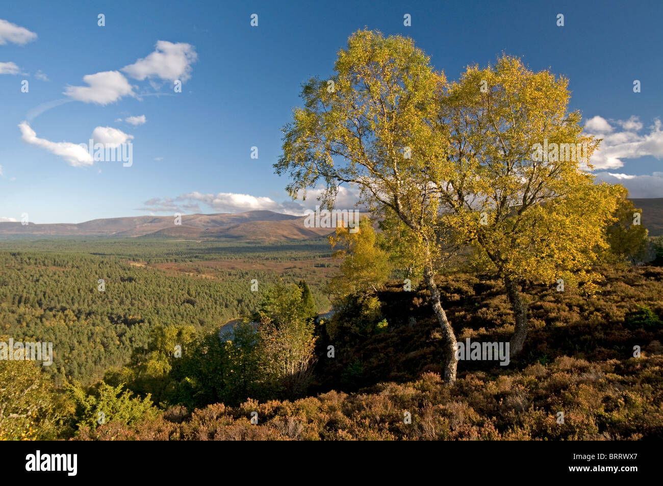 The Cairngorm mountains from Ord Ban hill, Rothiemurchus, Aviemore, Highland Region, Scotland.  SCO 6821 Stock Photo
