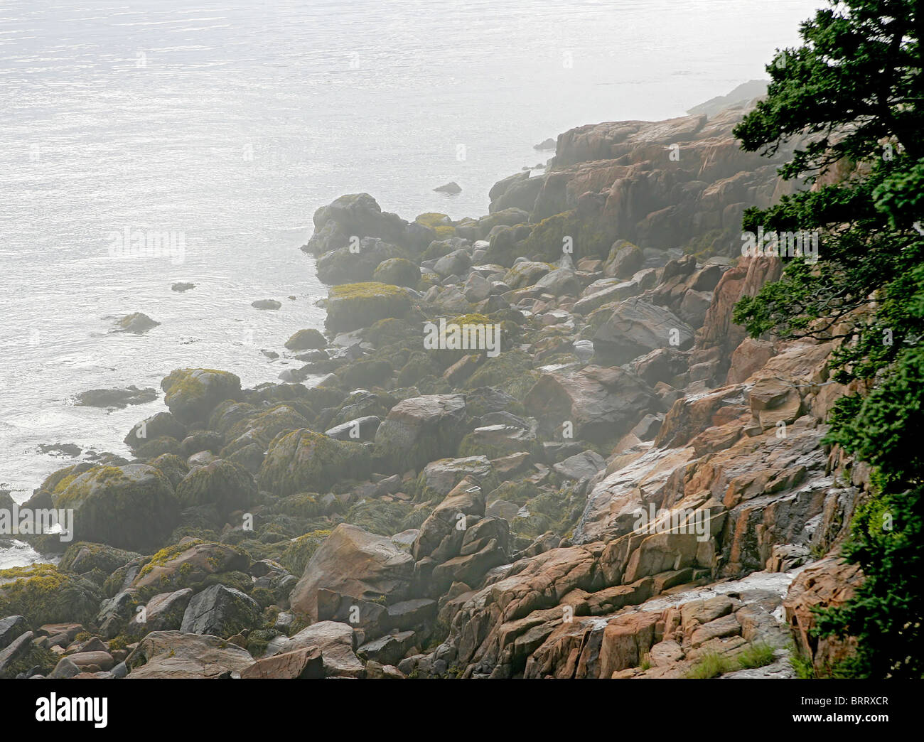 a foggy rocky landscape on water's edge Stock Photo - Alamy