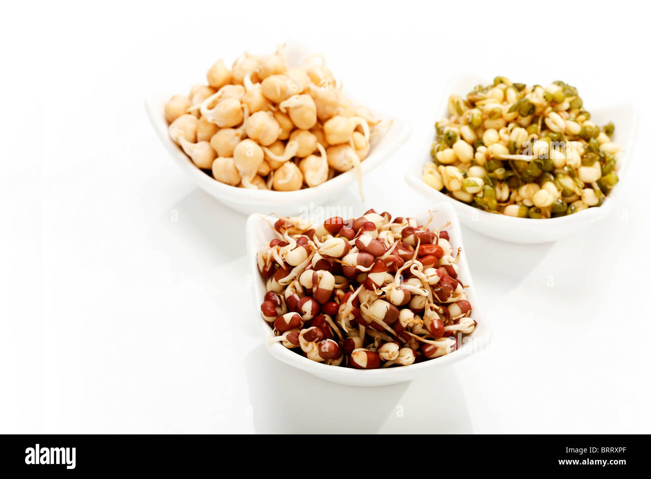 Chick pea, mung bean and azuki bean sprouts Stock Photo