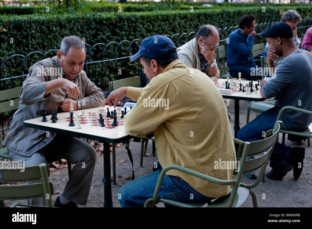 Paris, France, People in Luxembourg Park, Jardin du Luxembourg, Senior