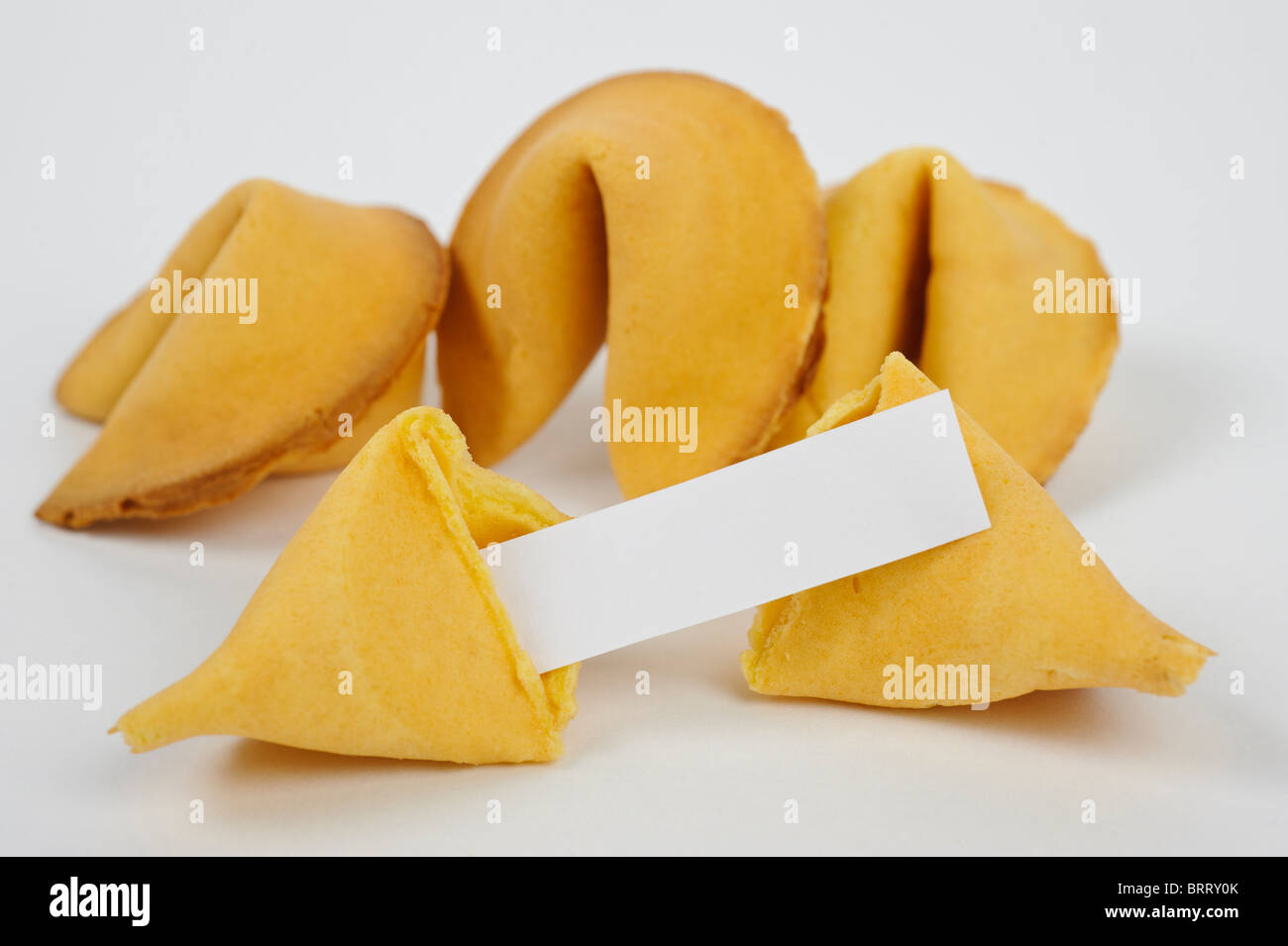 Fortune cookie with blank fortune Stock Photo Alamy