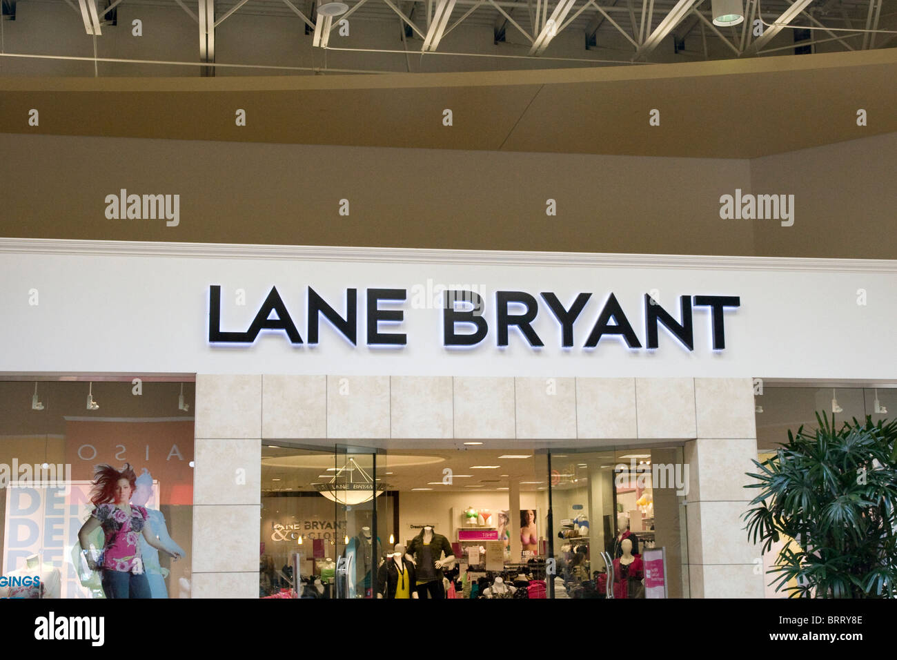 Lane Bryant Store in Shopping Mall in USA Stock Photo - Alamy