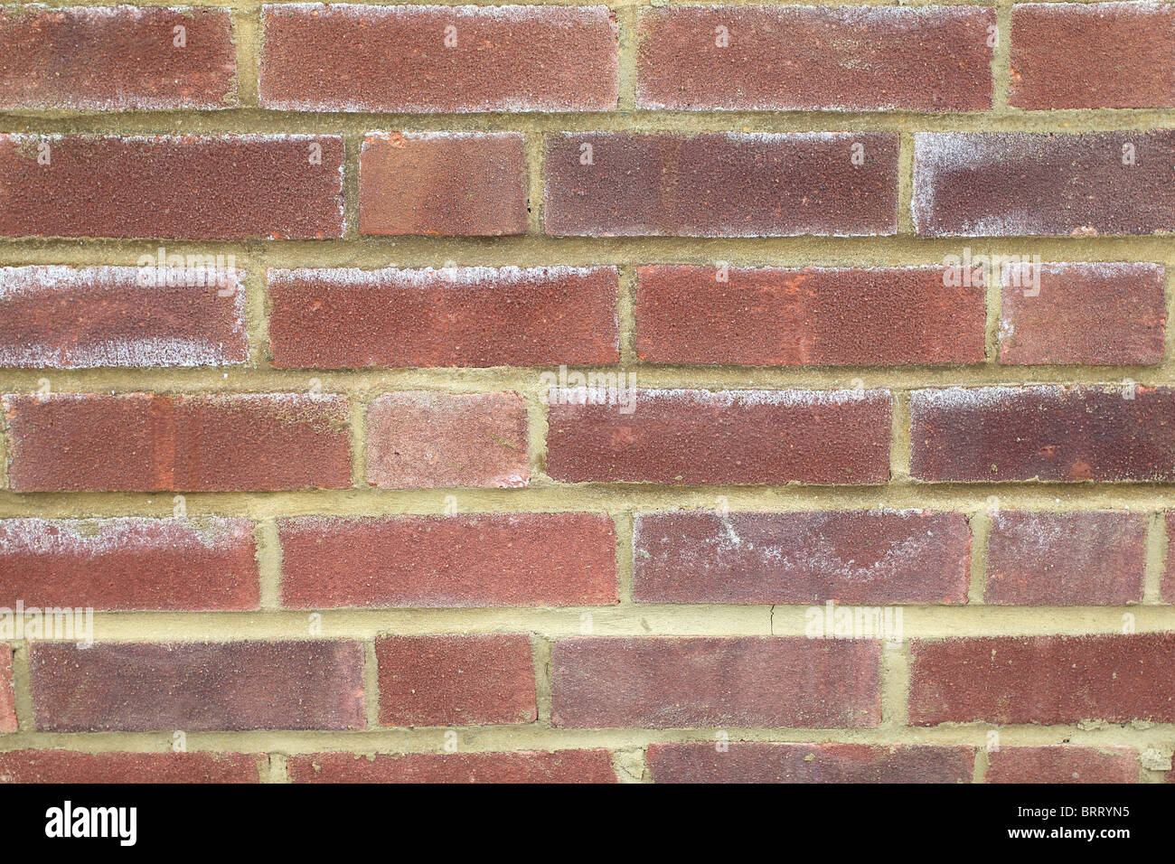 Brick wall background. This is a new brick wall and the "white marks