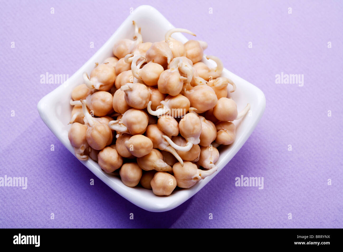 Chick pea sprouts Stock Photo Alamy