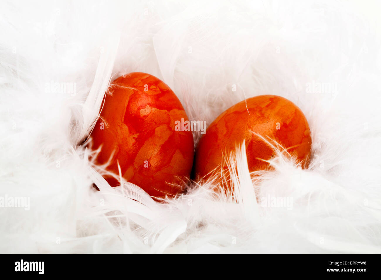 Easter eggs on white feathers Stock Photo