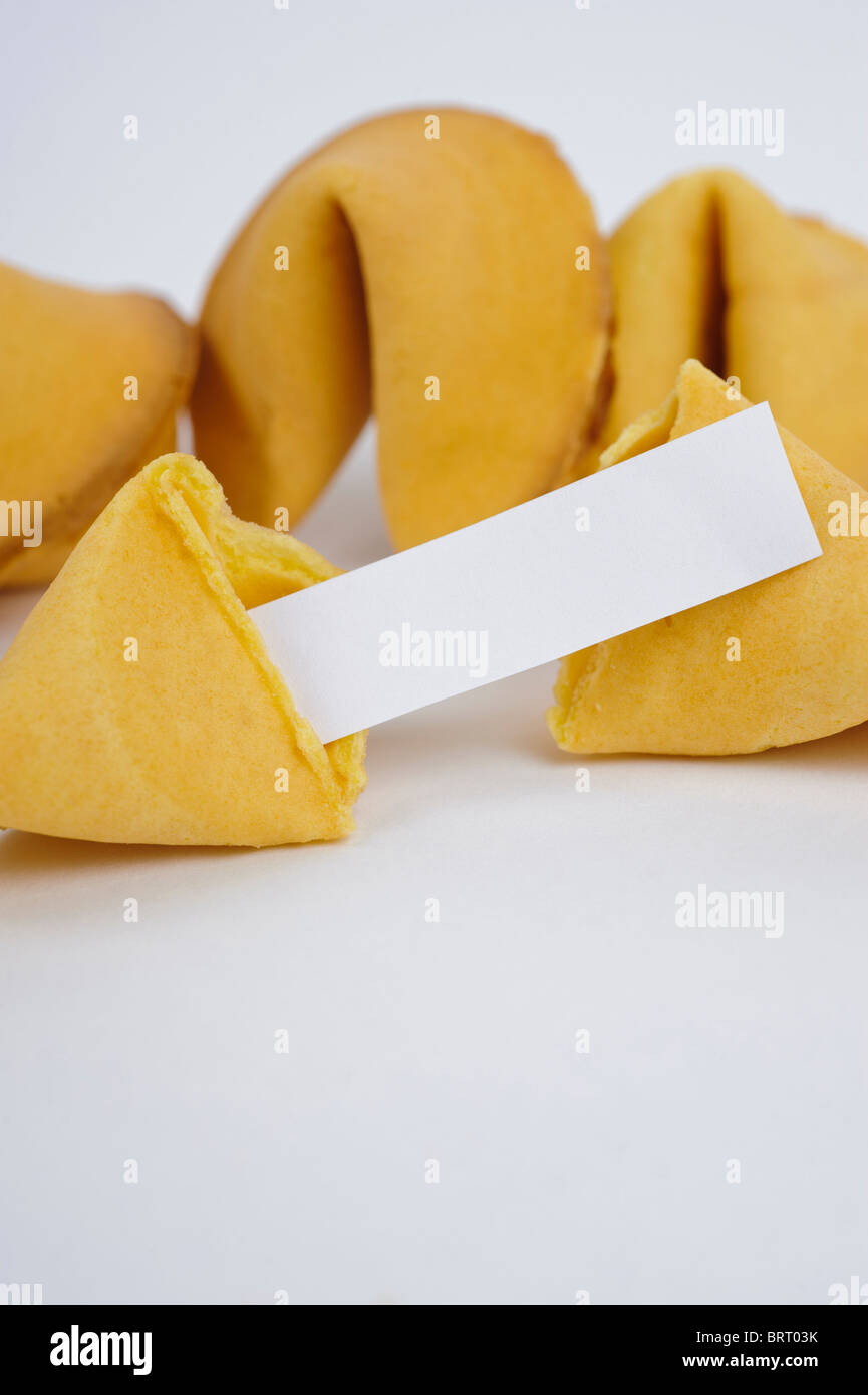 Fortune cookie with blank fortune Stock Photo Alamy