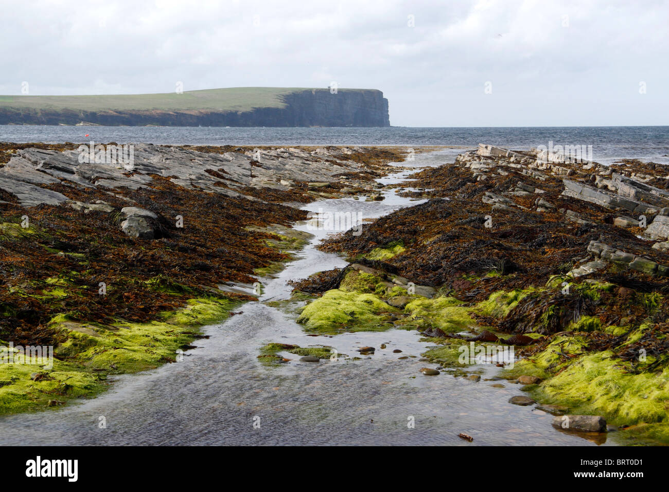 View of Marwick Head and the Kitchener Memorial (just visible) from the causeway to the Brough of Birsay, Orkney, Scotland Stock Photo