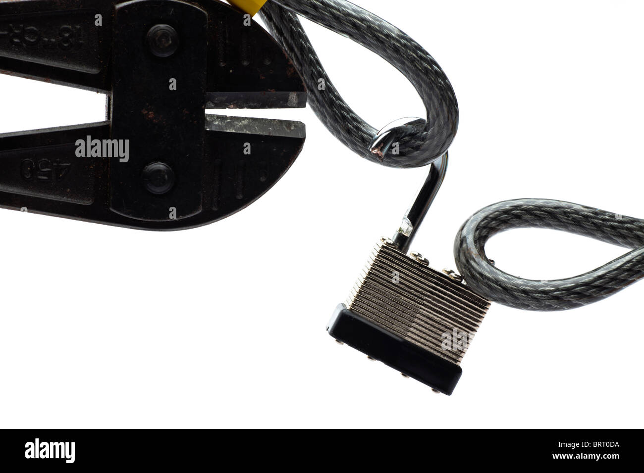 Padlock cut with bolt cutters Stock Photo Alamy