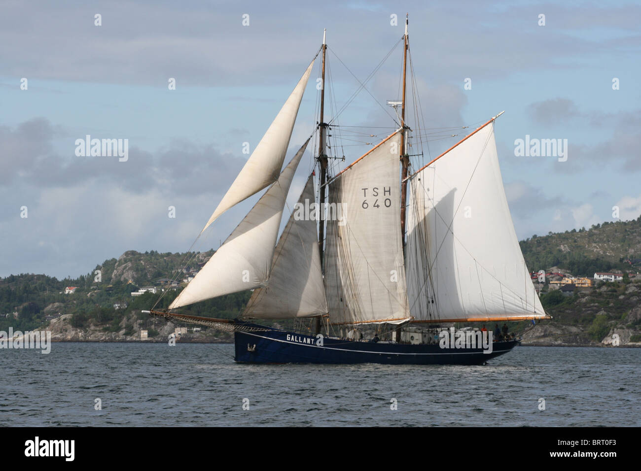 Tall ship race bergen hi-res stock photography and images - Alamy