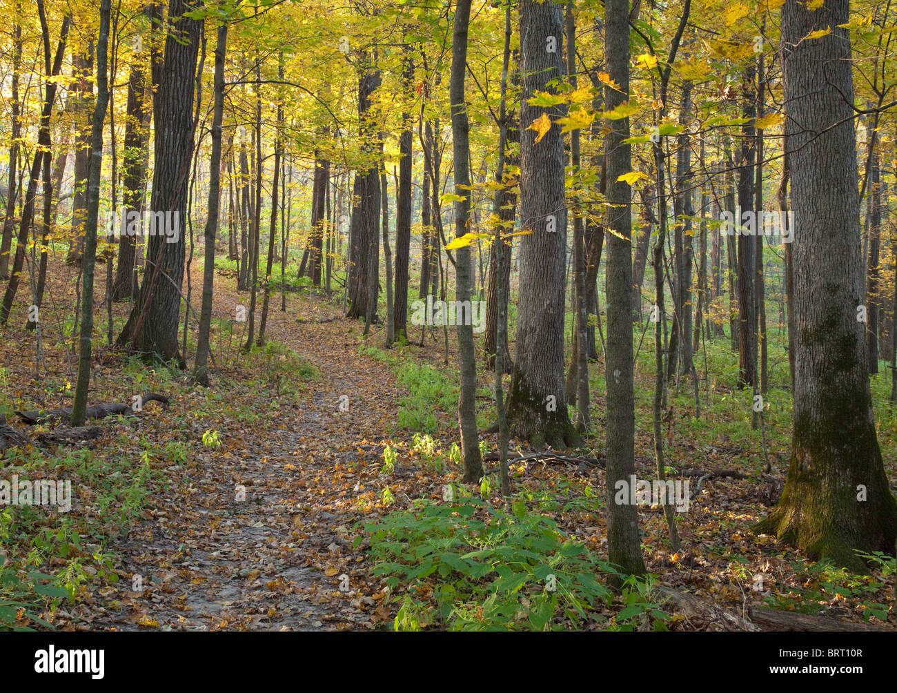 Paint creek unit hires stock photography and images Alamy