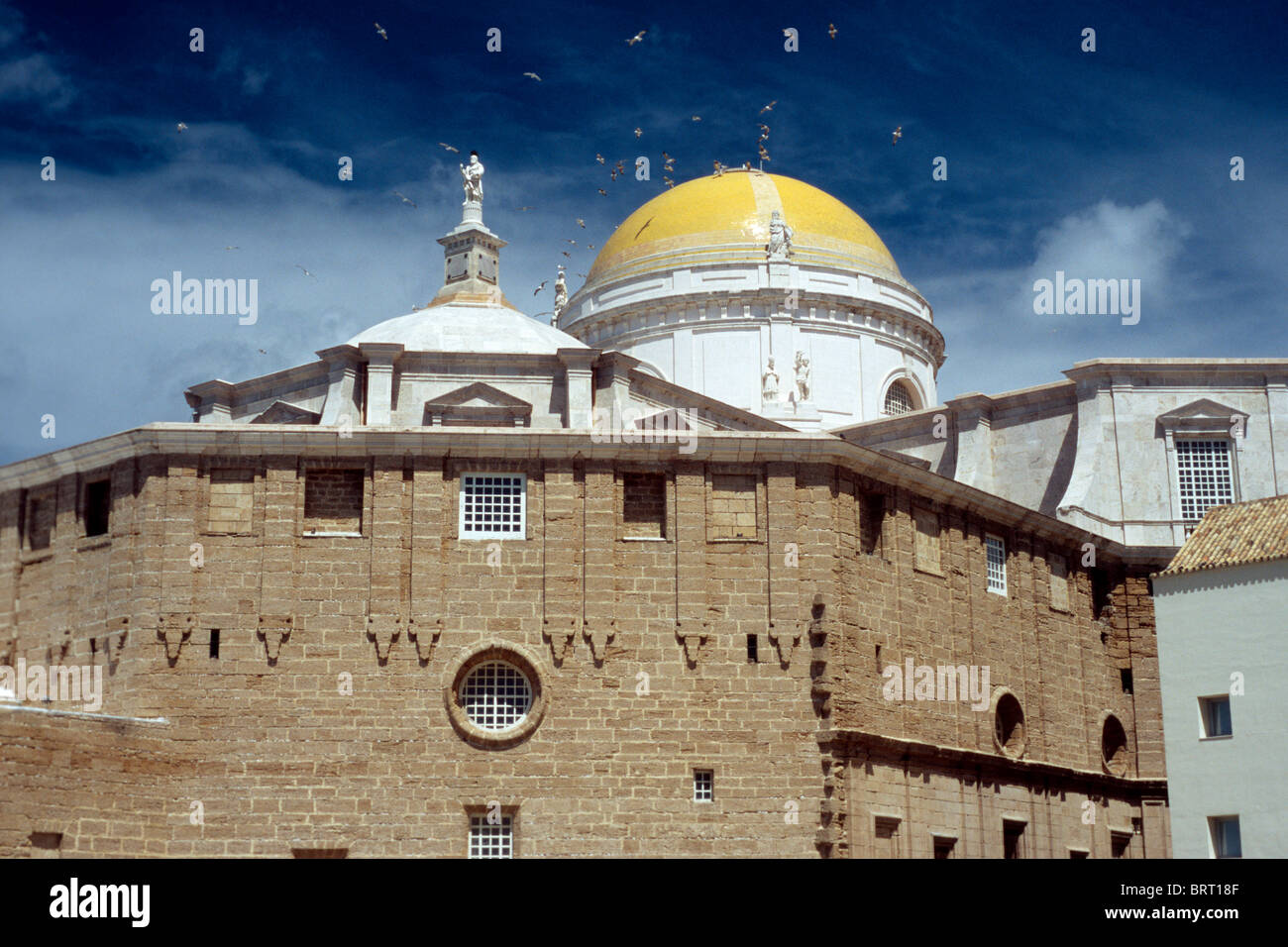 Cadiz Cathedral, Costa de la Luz, Andalusia, Spain, Europe Stock Photo