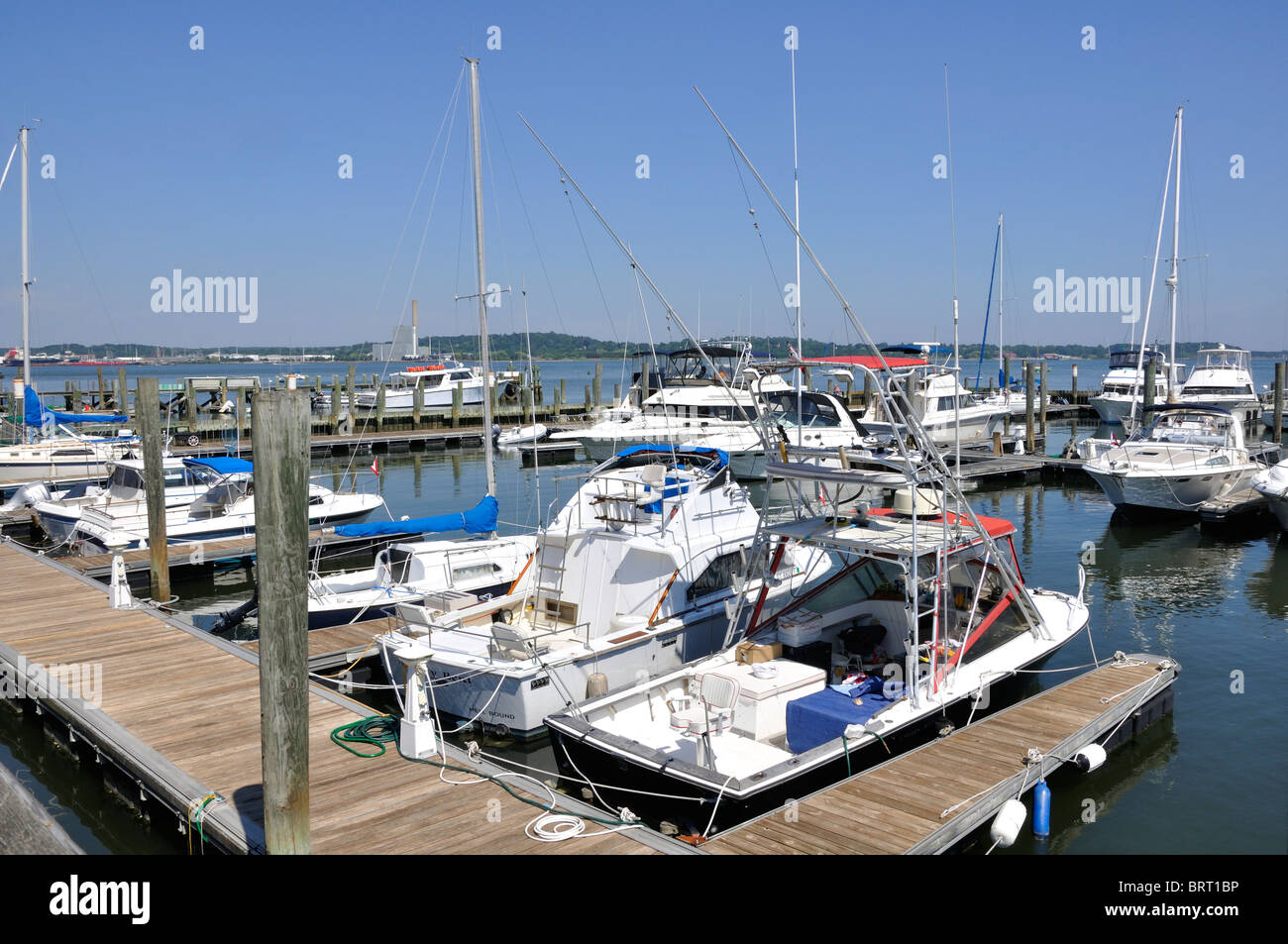 New Haven marina, Connecticut, USA Stock Photo Alamy