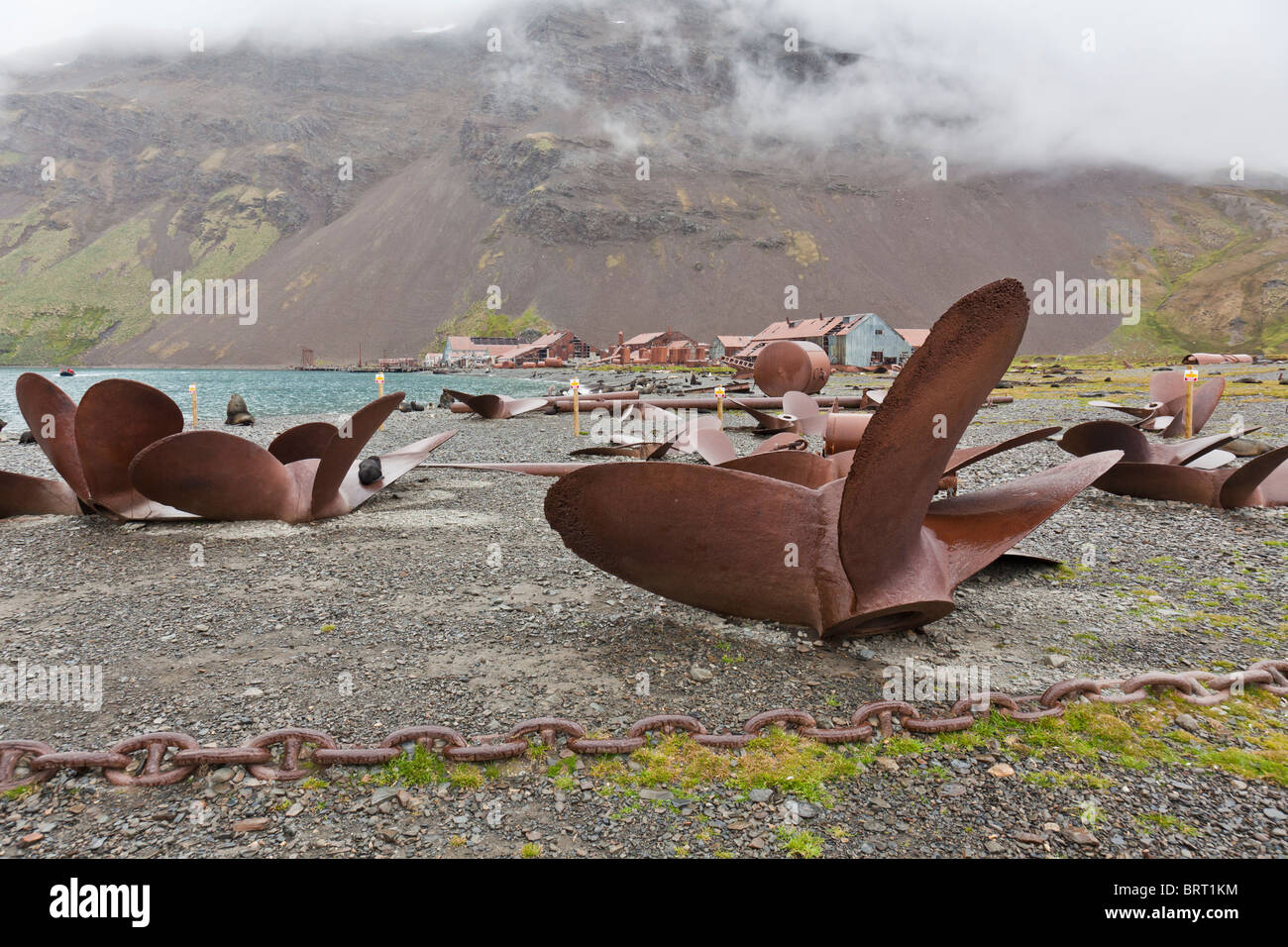 King penguins and Antarctic fur seals lounging around the relic whale harvesting station of Stromness, South Georgia Island Stock Photo