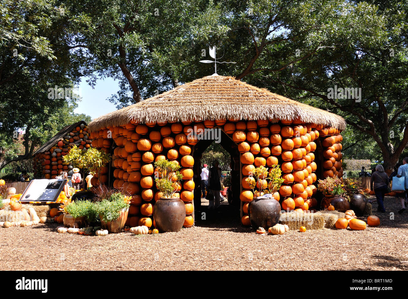 Pumpkin house, Dallas Arboretum, Texas, USA Stock Photo Alamy