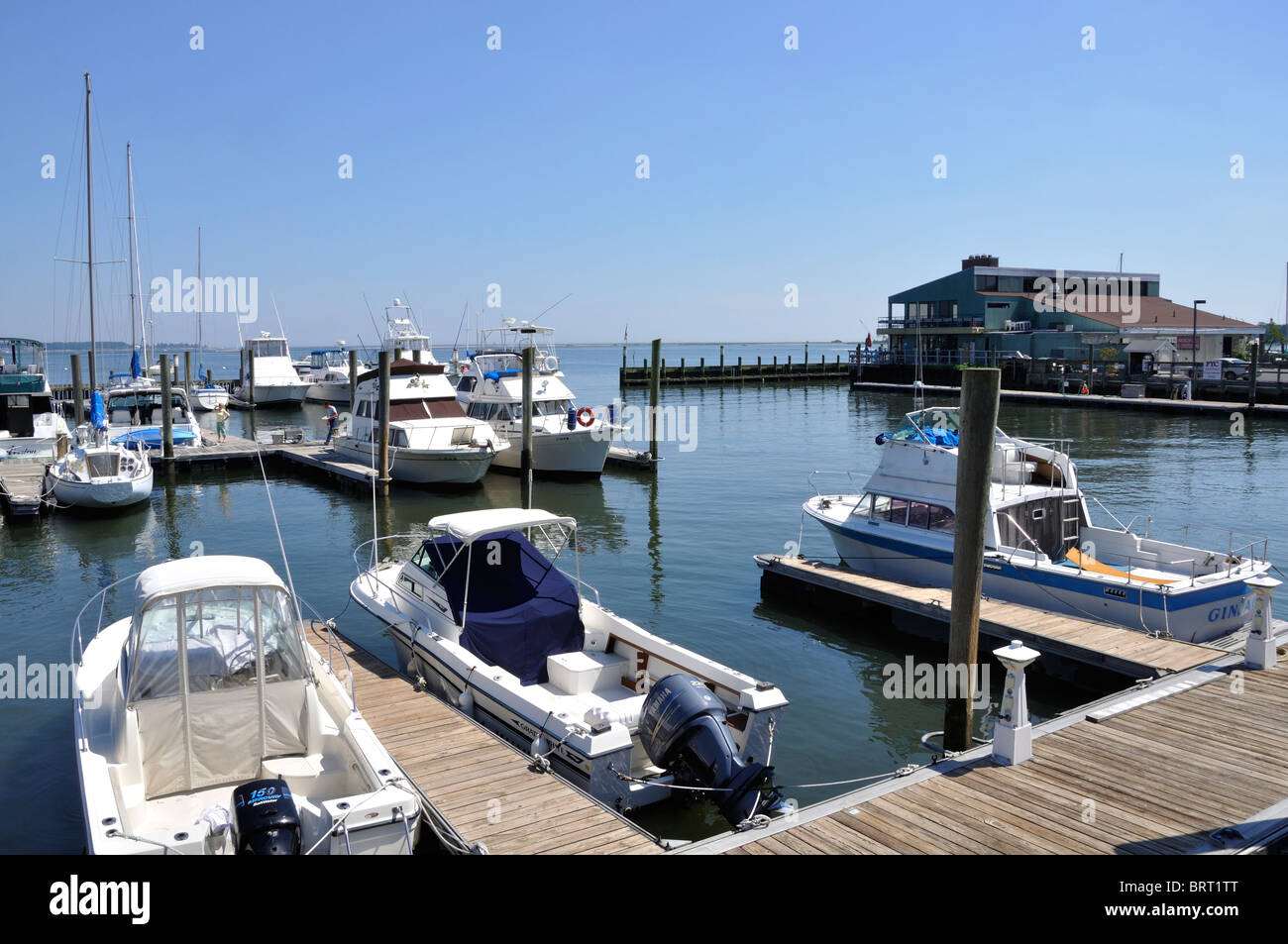 New Haven marina, Connecticut, USA Stock Photo Alamy