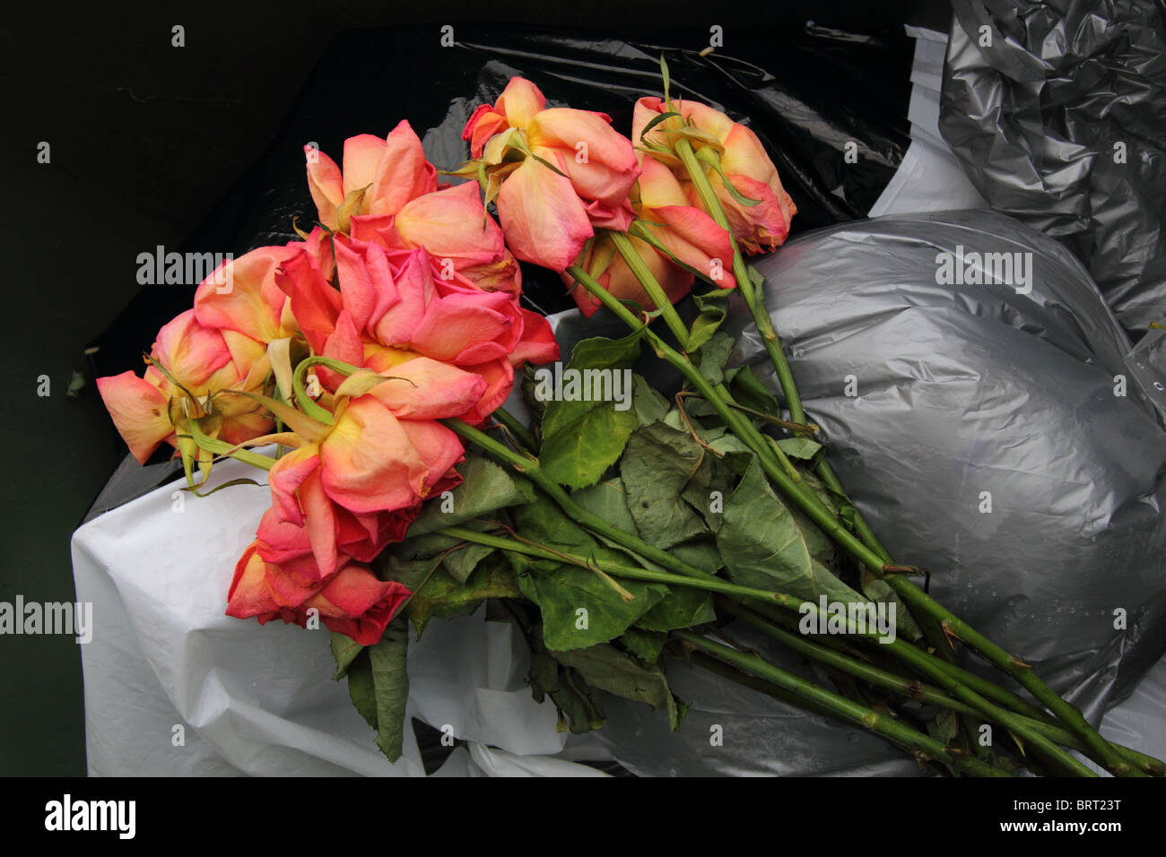 A BUNCH OF DEAD FLOWERS IN A RUBBISH BIN HORIZONTAL SILVER BLACK