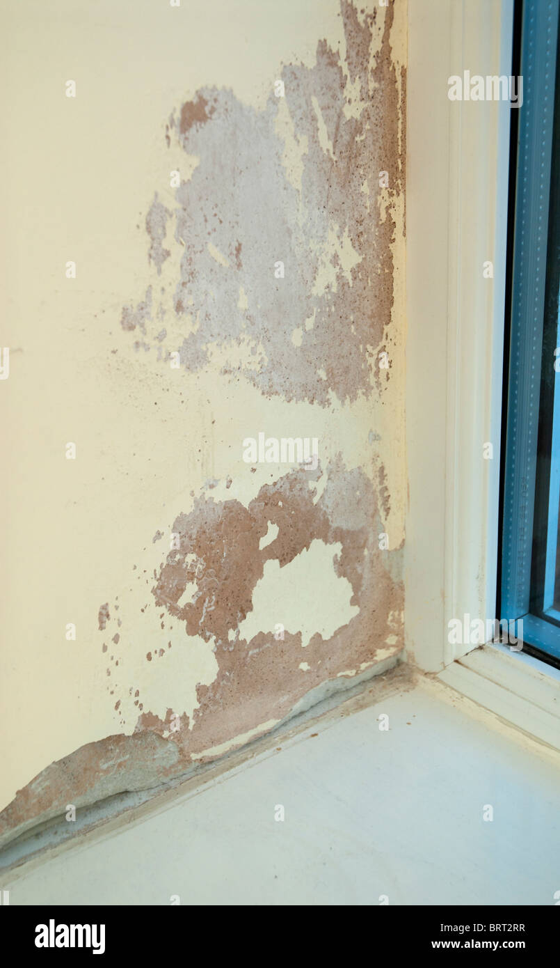 Damp Patch on Inside Wall Stock Photo