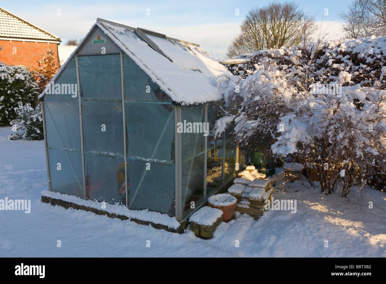 Greenhouse in back garden covered in winter snow, Wirral, Merseyside, England Stock Photo
