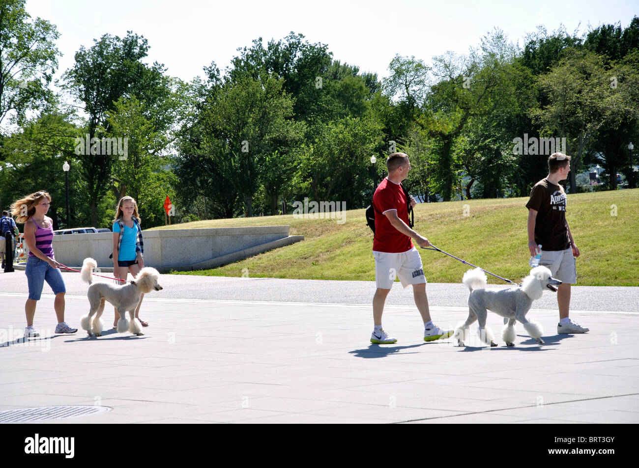 people-walking-dogs-washington-dc-usa-BRT3GY.jpg