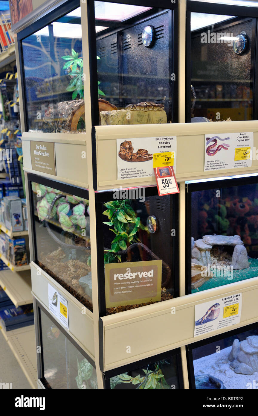 Petsmart snakes best sale ball python