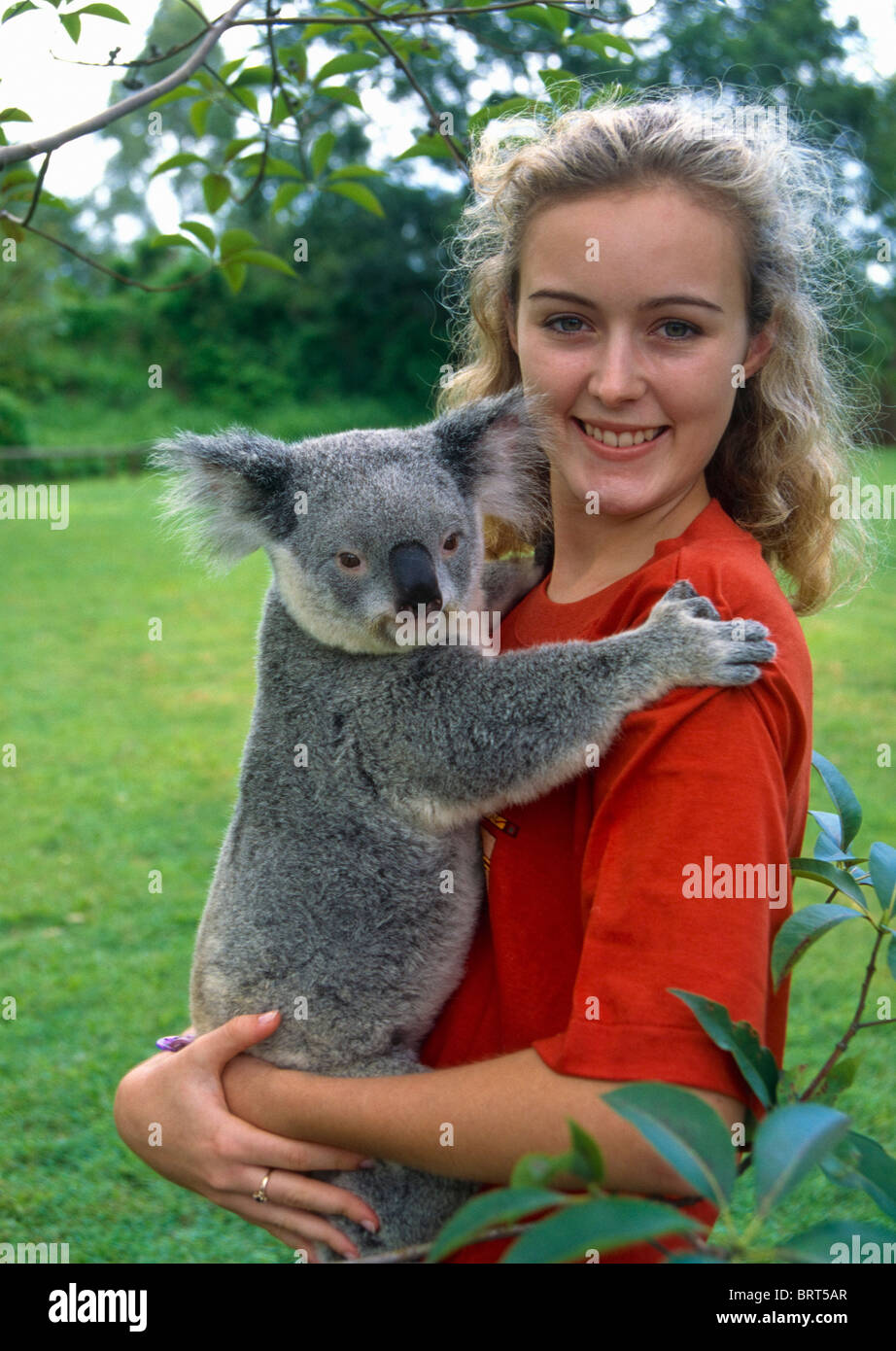 Girl holding a koala bear, Queensland, Australia Stock Photo - Alamy