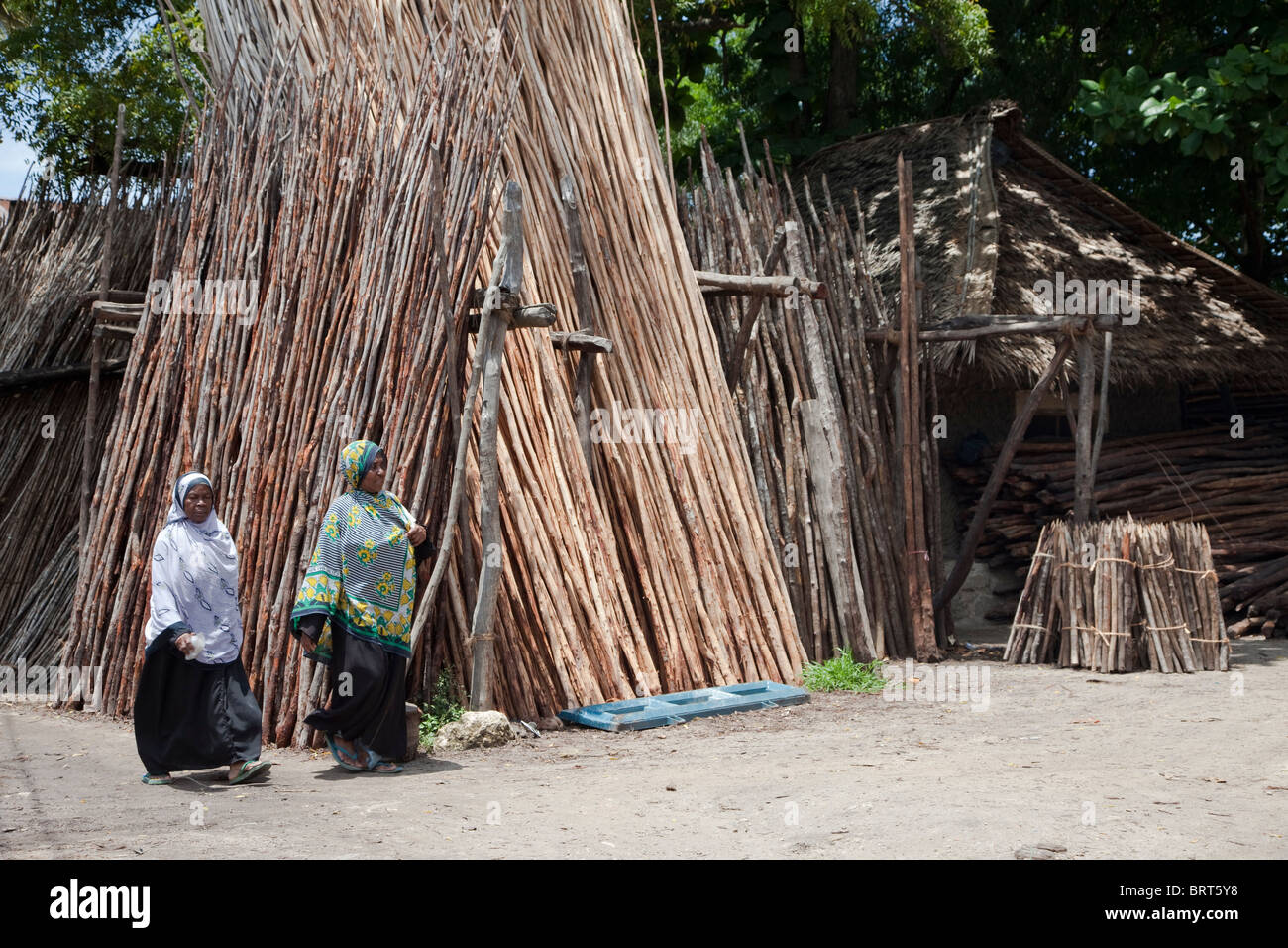 Zanzibar, Tanzania. Mangrove Poles for Sale. Used for scaffolding or other construction.  Zanzibari Women Wearing Kitenge Cloth. Stock Photo