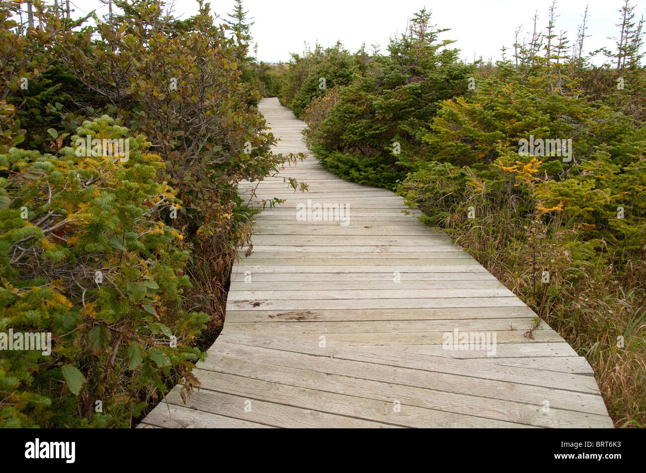 Canada, Newfoundland and Labrador, L'Anse Aux Meadows Stock Photo - Alamy