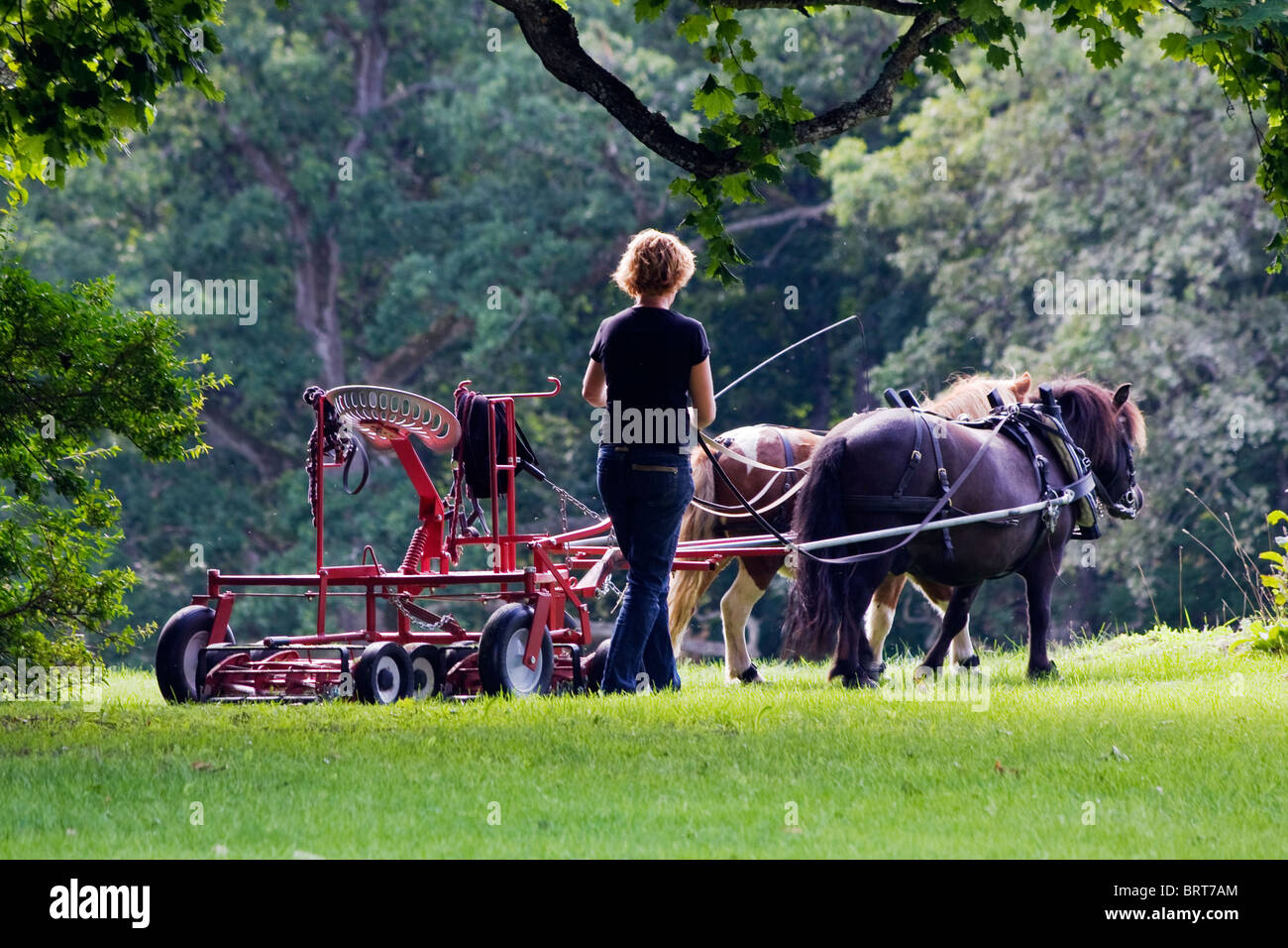 MOWING THE GRASS AND COMPLETING THE HORSE STABLE