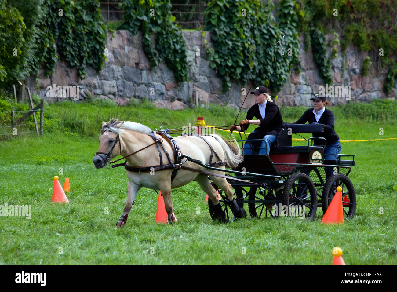 Racing with a horse and a wagon. Stock Photo