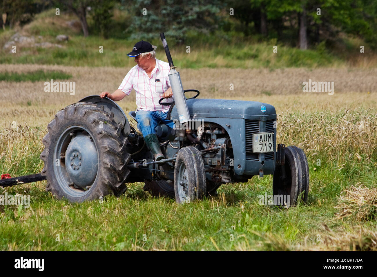 Ferguson tractor harvesting Stock Photo