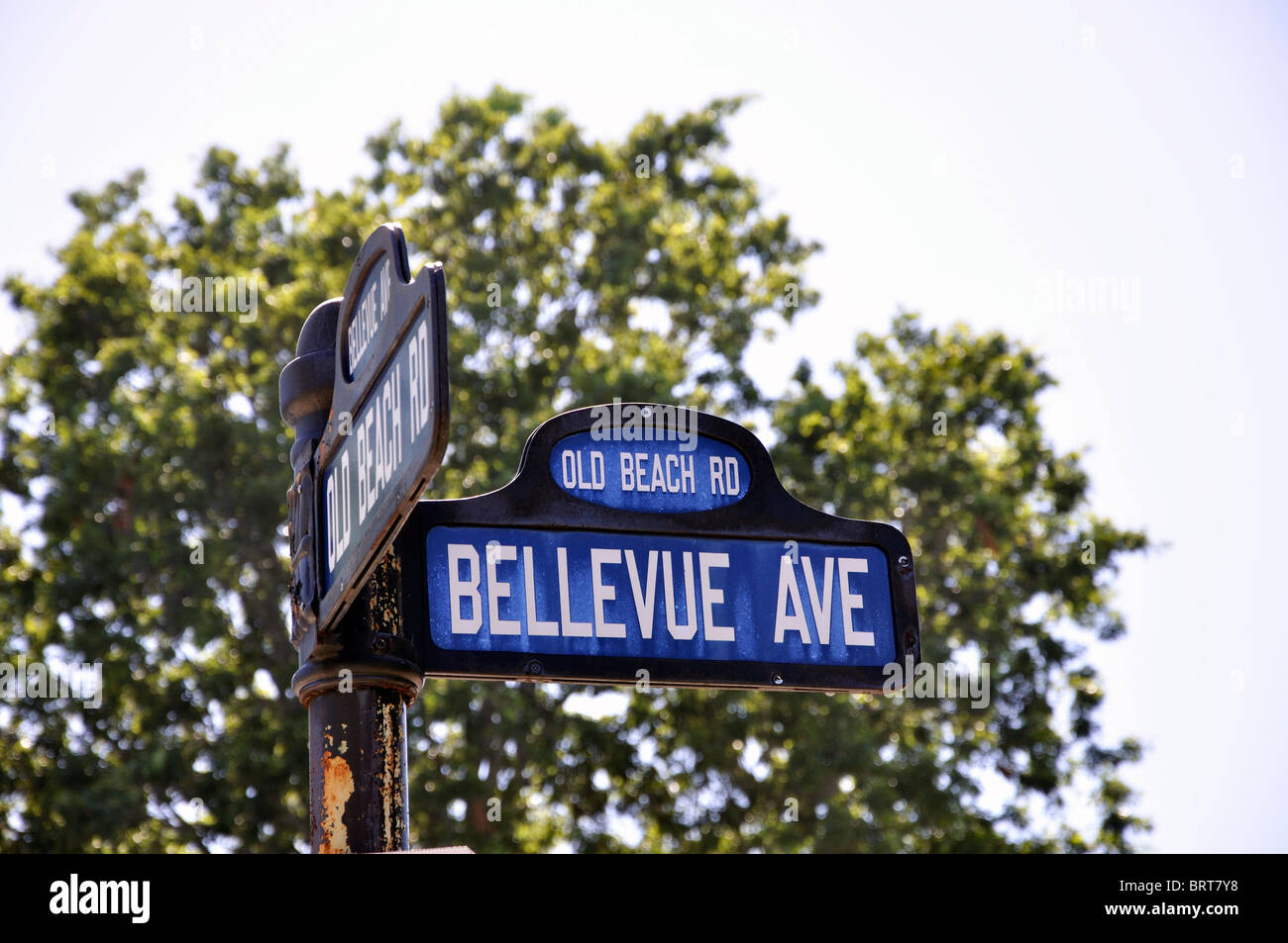Bellevue Avenue sign, Newport, Rhode Island, USA Stock Photo Alamy