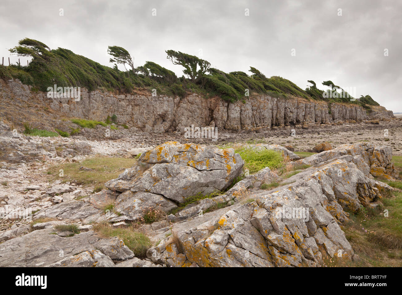 Coastline at Jenny Brown's point, Silverdale in Lancashire. Stock Photo