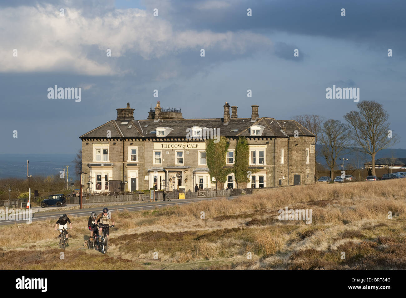 Cow and calf pub ilkley hires stock photography and images Alamy