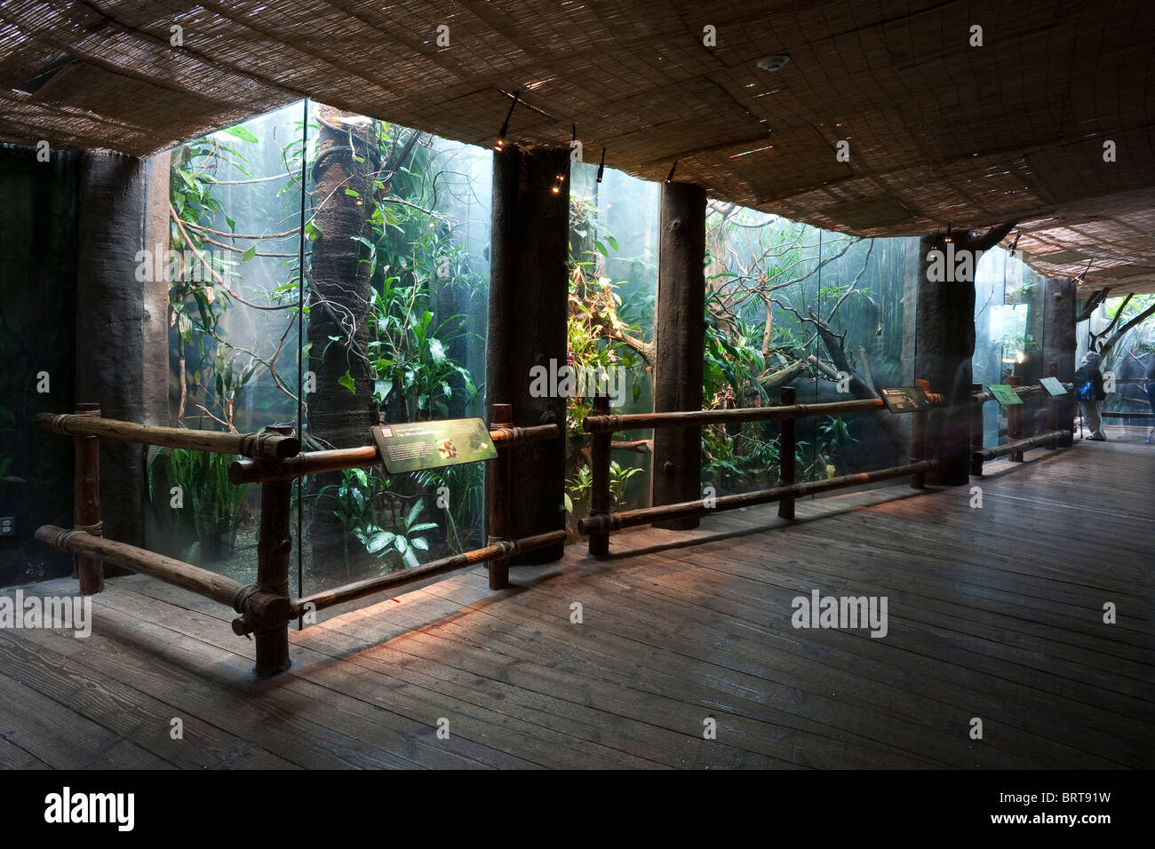 Tropical Rainforest Building interior Woodland Park Zoo Seattle