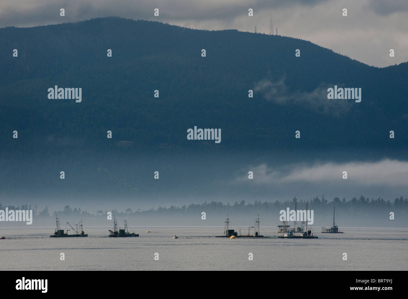Commercial salmon fishing boats off Lummi Island, Washington