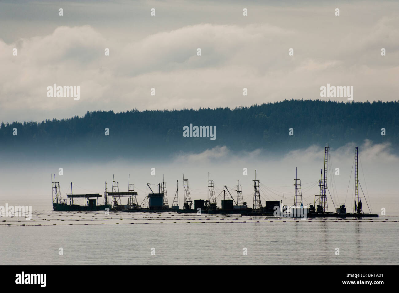 Commercial salmon fishing boats off Lummi Island, Washington