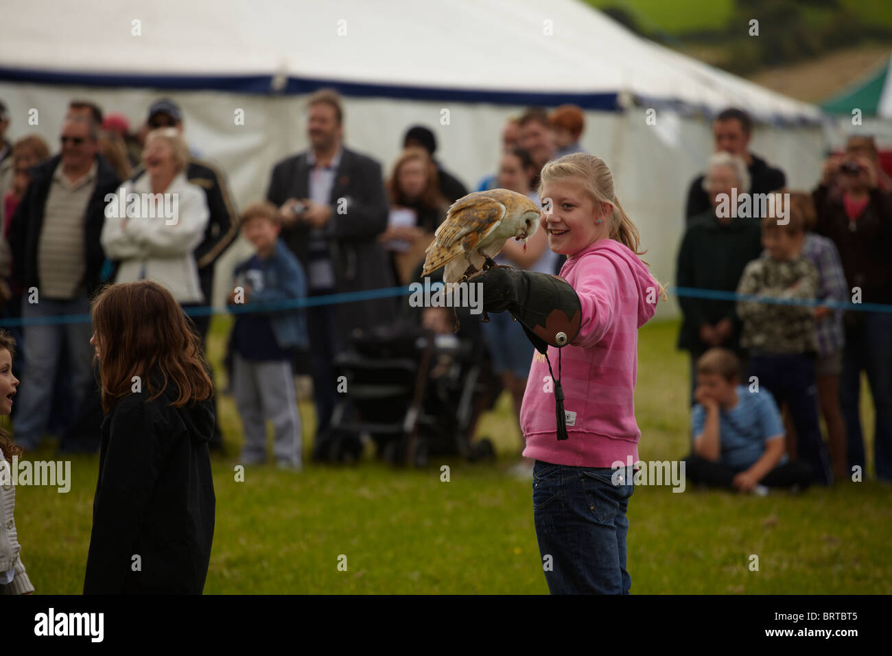 Bird prey landing on arm hires stock photography and images Alamy
