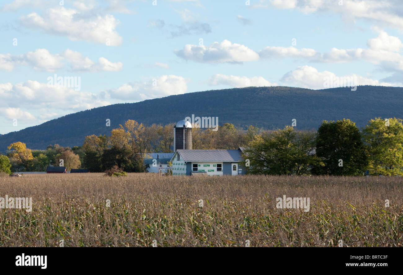 Farm in Upstate NY with Pond and Mountains in the Background Stock