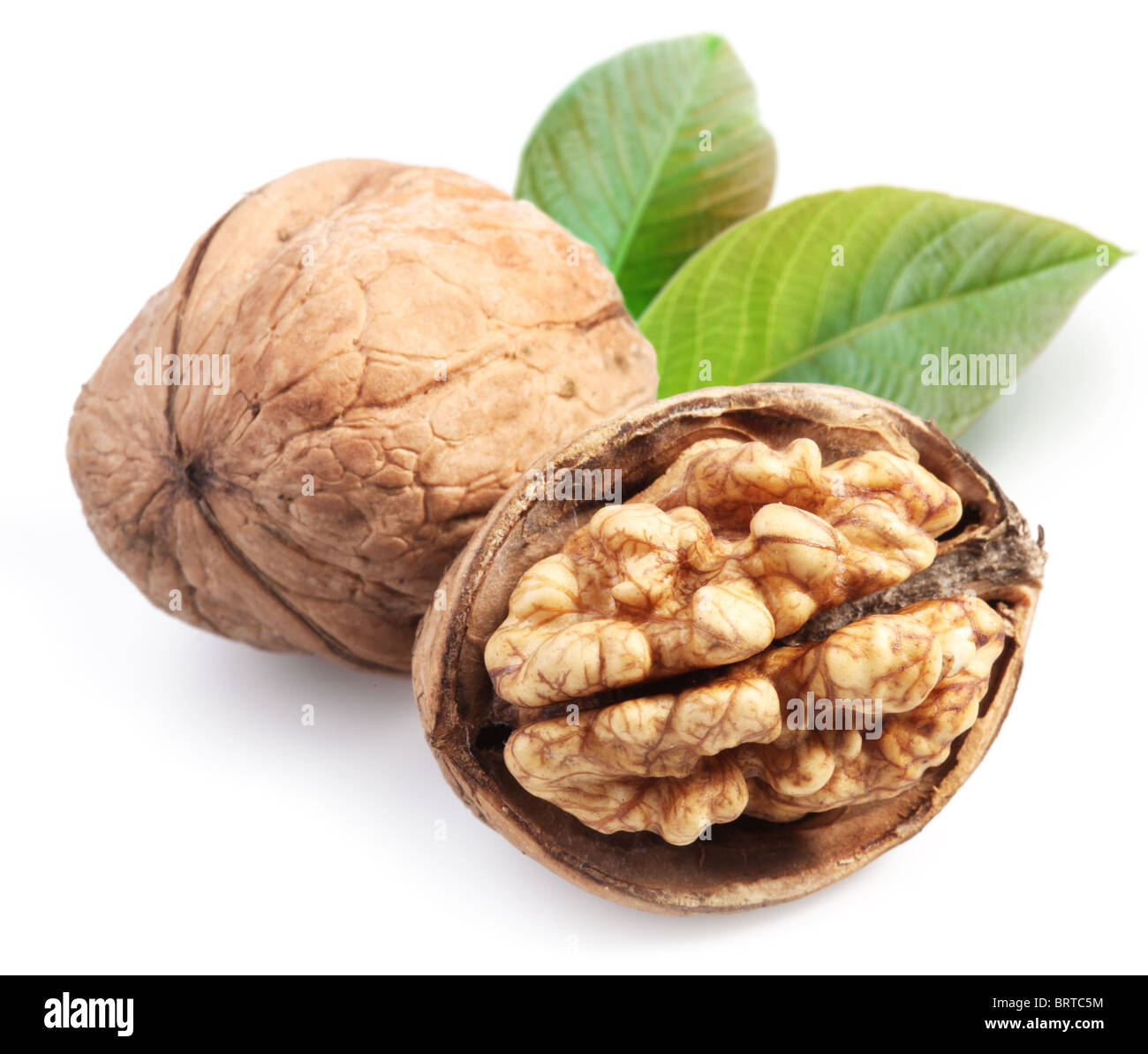 Walnuts with leaves. Stock Photo