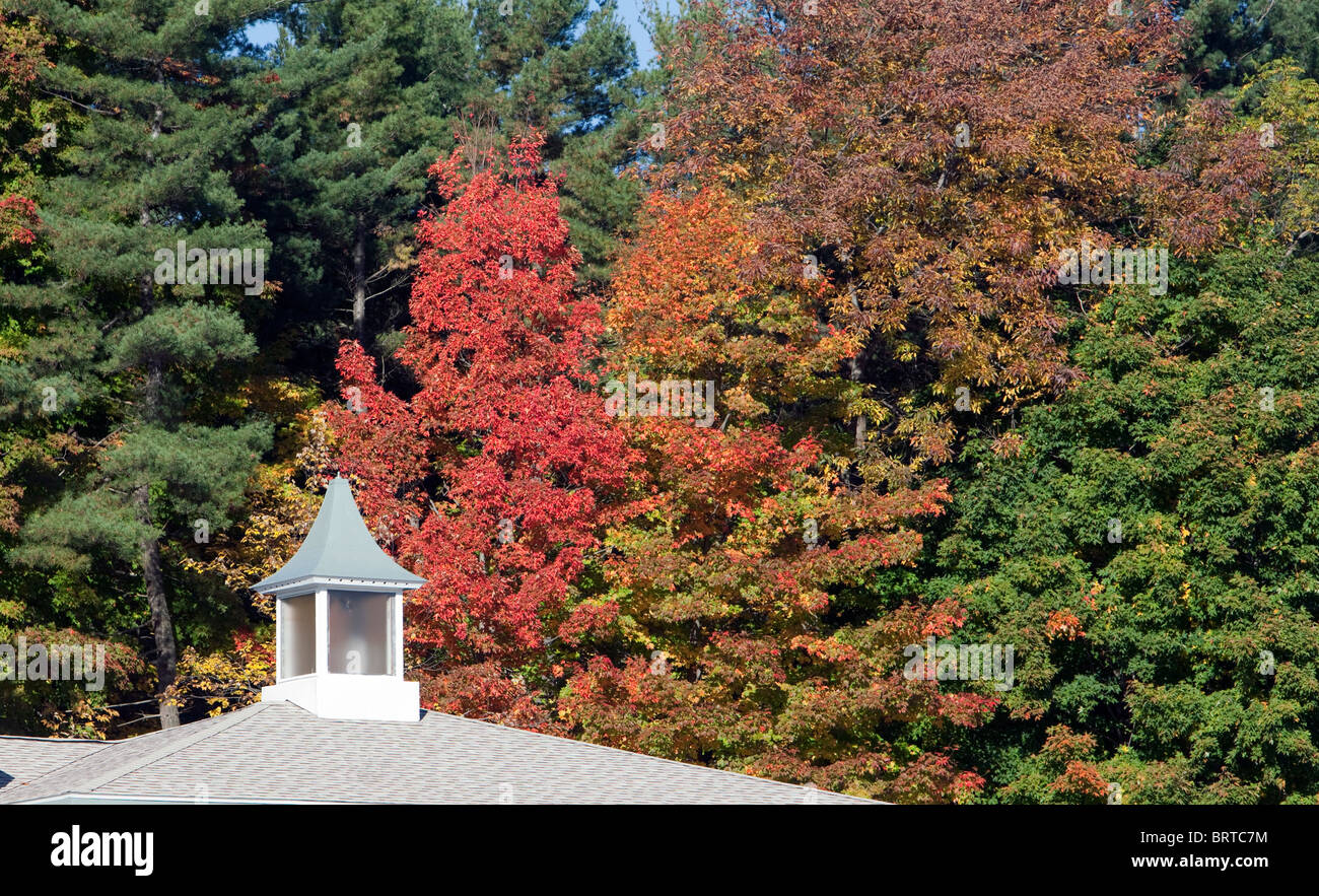 Fall foliage and a cupola. Stock Photo