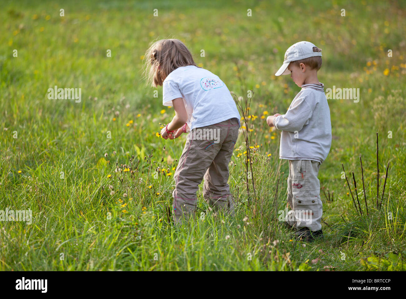 Sk14 4067 hi-res stock photography and images - Alamy